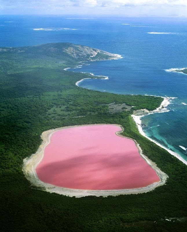 Danau merah muda di Middle Island