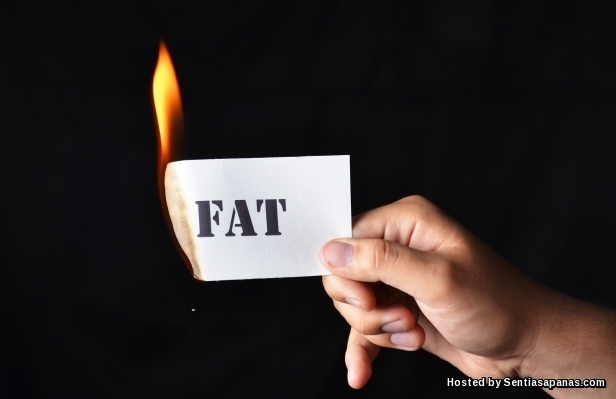 10 Makanan Yang Membakar Lemak Dengan Pantas Burn fat