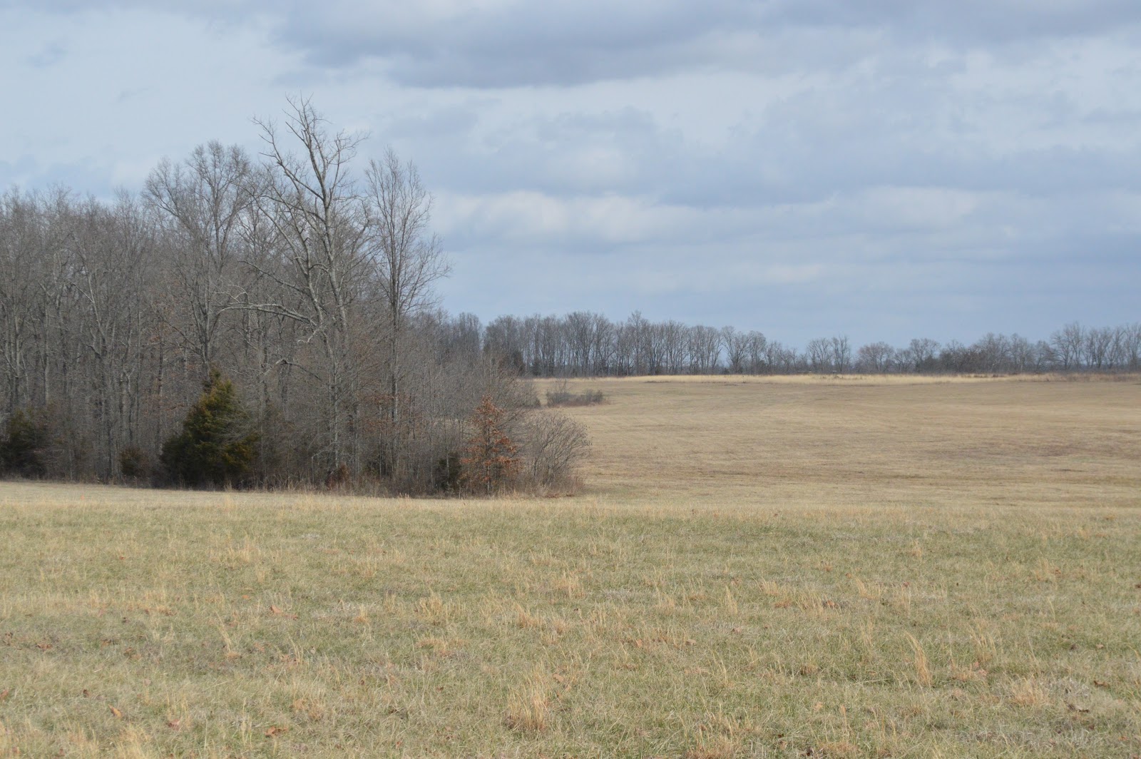THEIR STORIES Brandy Station Photo Tour