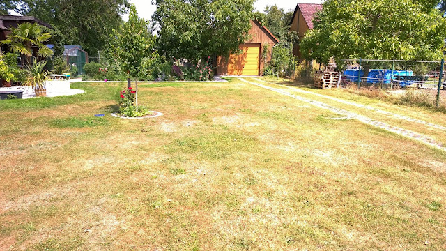 der obere Garten als Wüste 2015 (c) by Joachim Wenk der obere Garten als Wüste 2015 (c) by Joachim Wenk