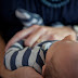 Parenting With a Disability