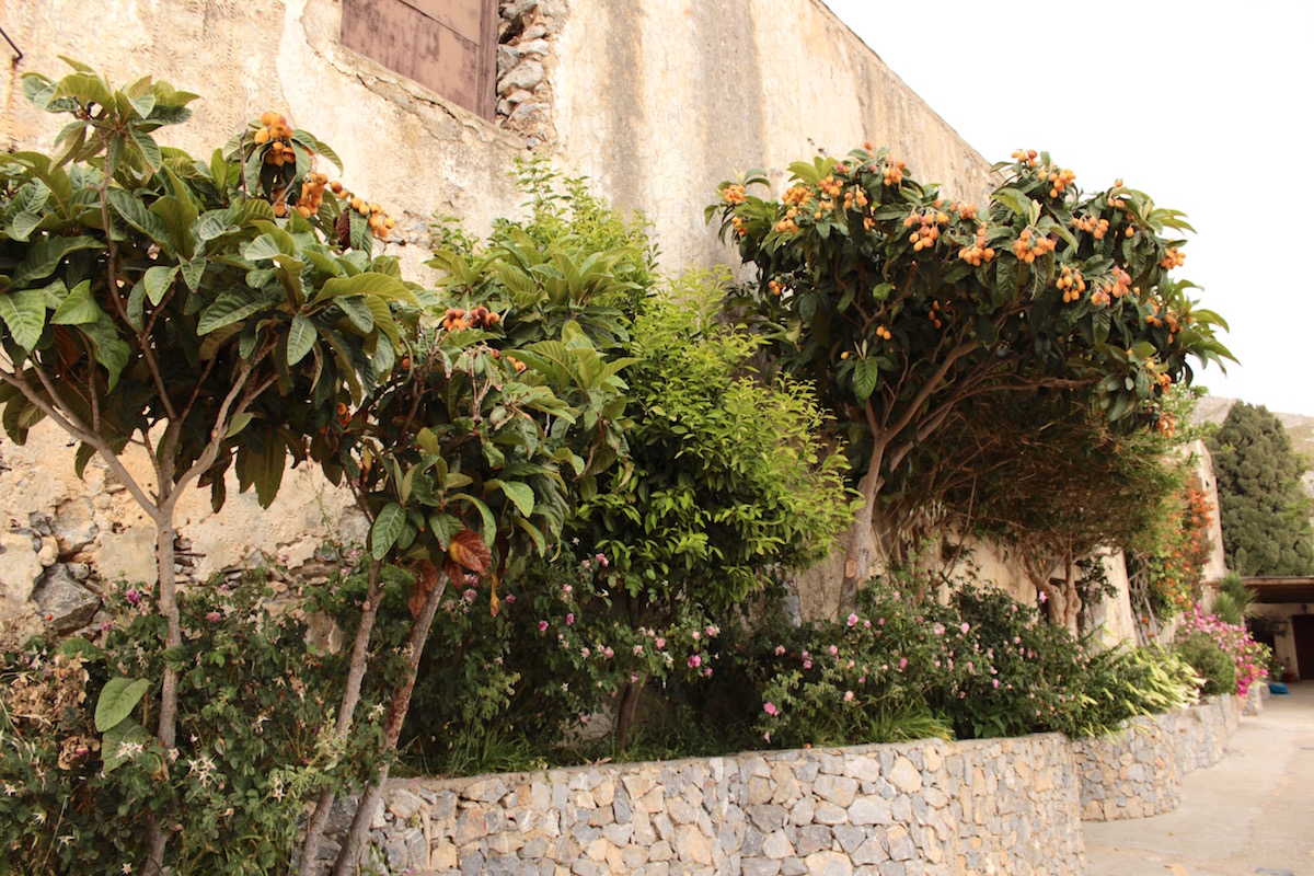 Kloster Piso Moni Preveli Rethymno Kreta Reisebericht Travel Diary