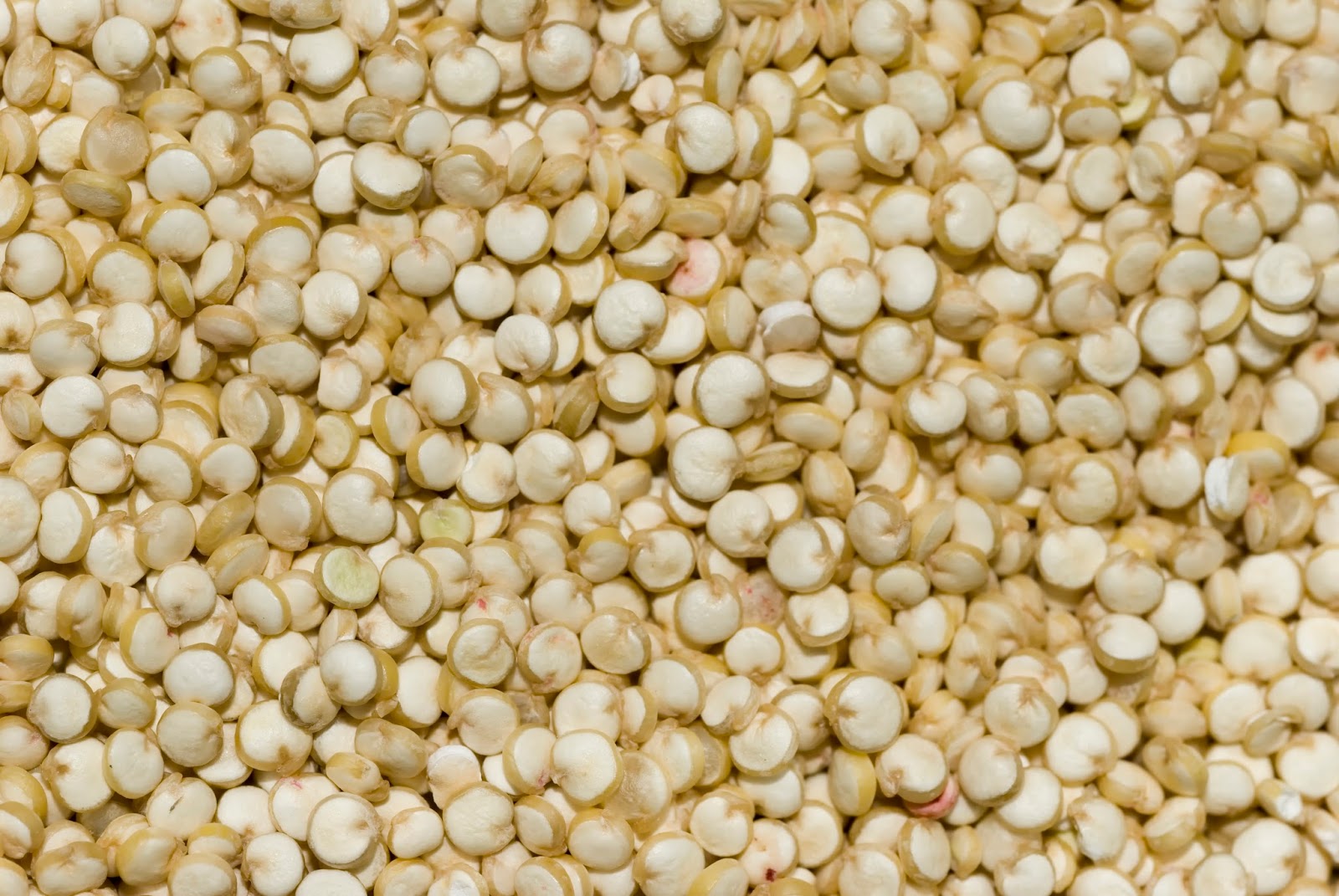 Qué es la Quinua y cómo lavarla Viviangilro