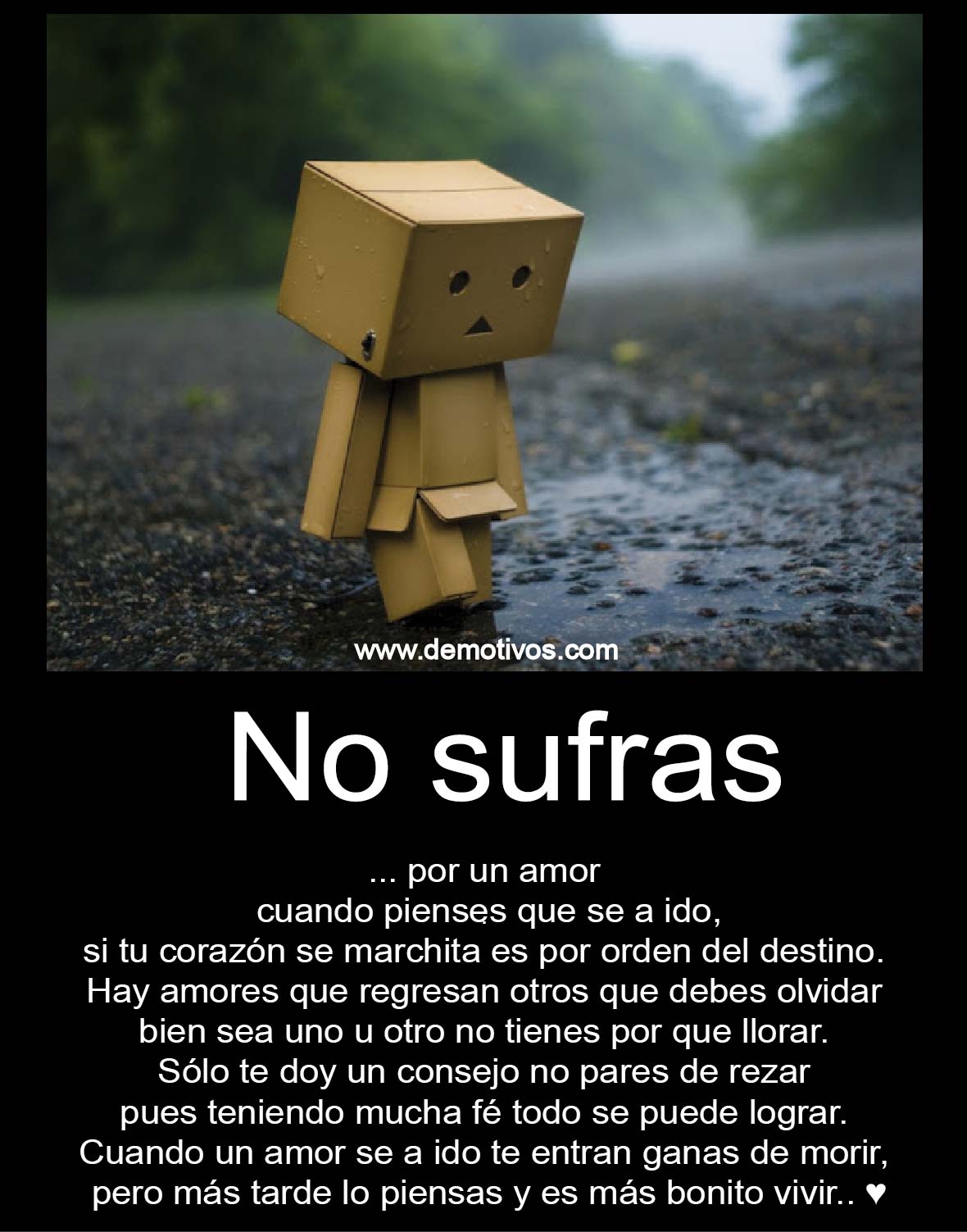 No SUFRAS por un amor cuando piensas que se a ido...Es más BONITO vivir feliz Demotivos para No SUFRAS por un amor cuando piensas que se a ido...Es más BONITO vivir feliz Demotivos para