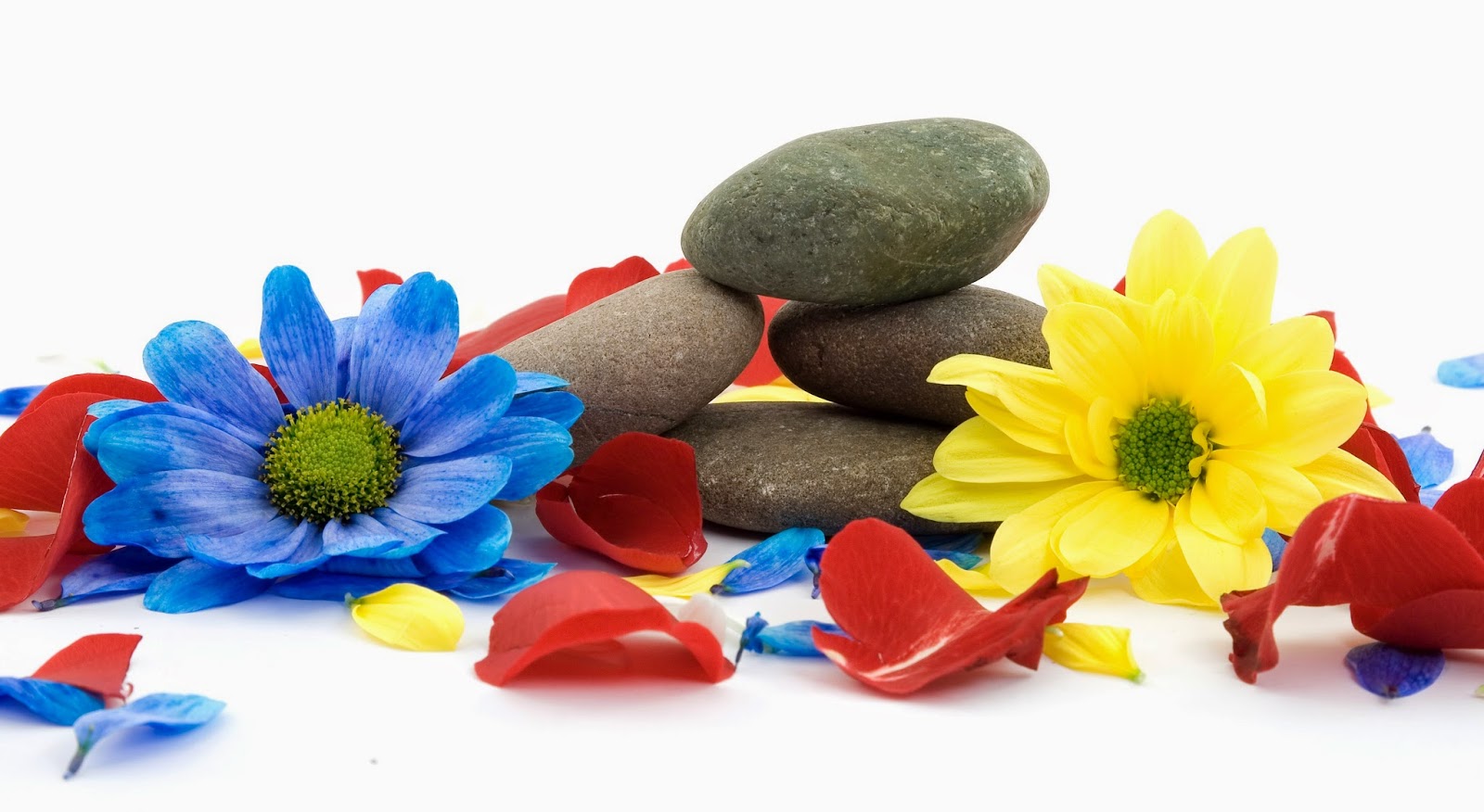 Chinese-Buddhist-Zen-Meditation-3888x2128-flowers-image.jpg Chinese-Buddhist-Zen-Meditation-3888x2128-flowers-image.jpg