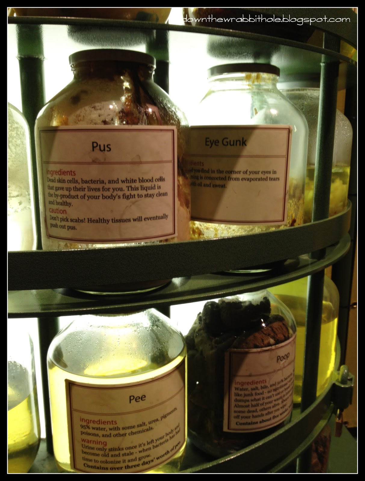 Down the Wrabbit Hole The Travel Bucket List Space Simulators & Jars