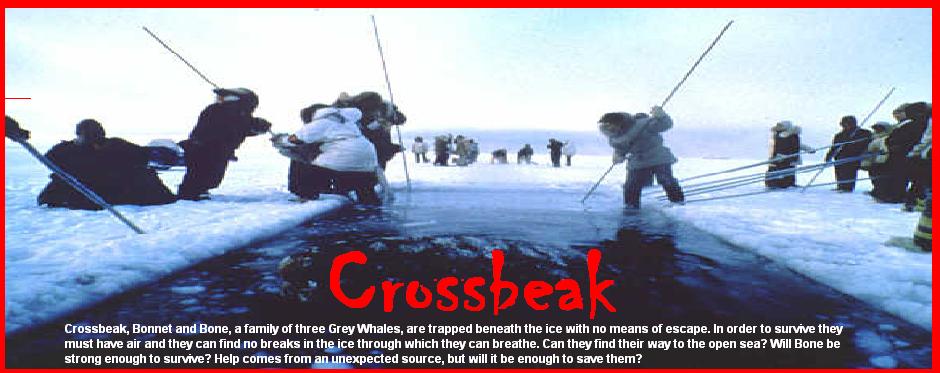 crossbeak