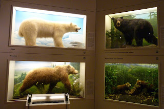 Museo del Hombre y la Naturaleza o Museum Mensch und Natur.