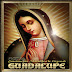 MIRIAM SOLÍS – Canciones Con Mariachi A La Virgen De Guadalupe (2013 - MP3)