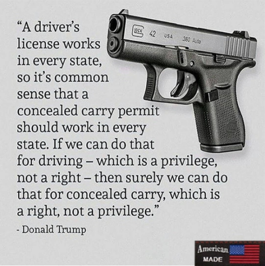 90 Miles From Tyranny : Concealed Carry Is A Right...