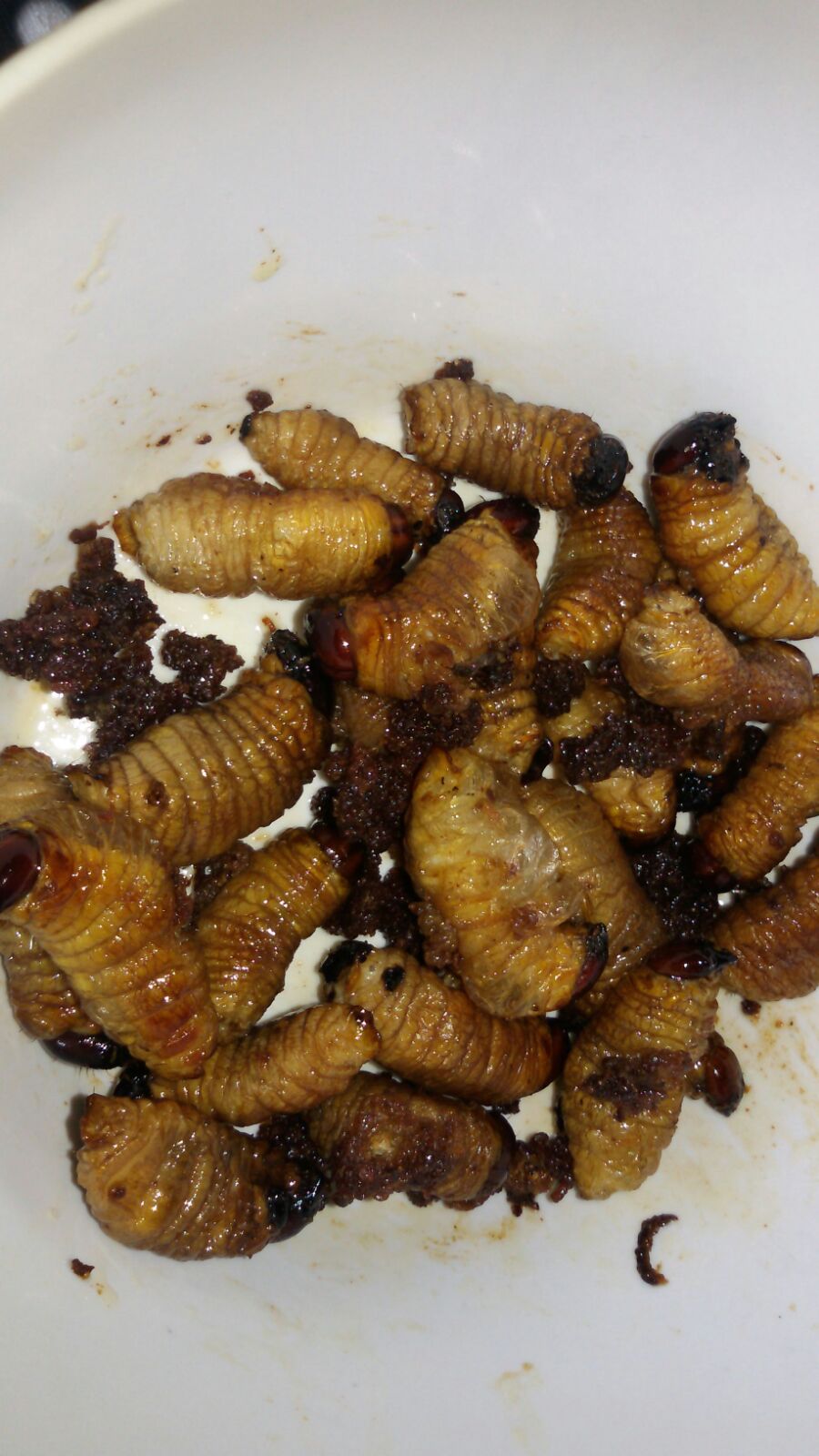 Ulat Sagu Makanan Eksotik Kaum Iban