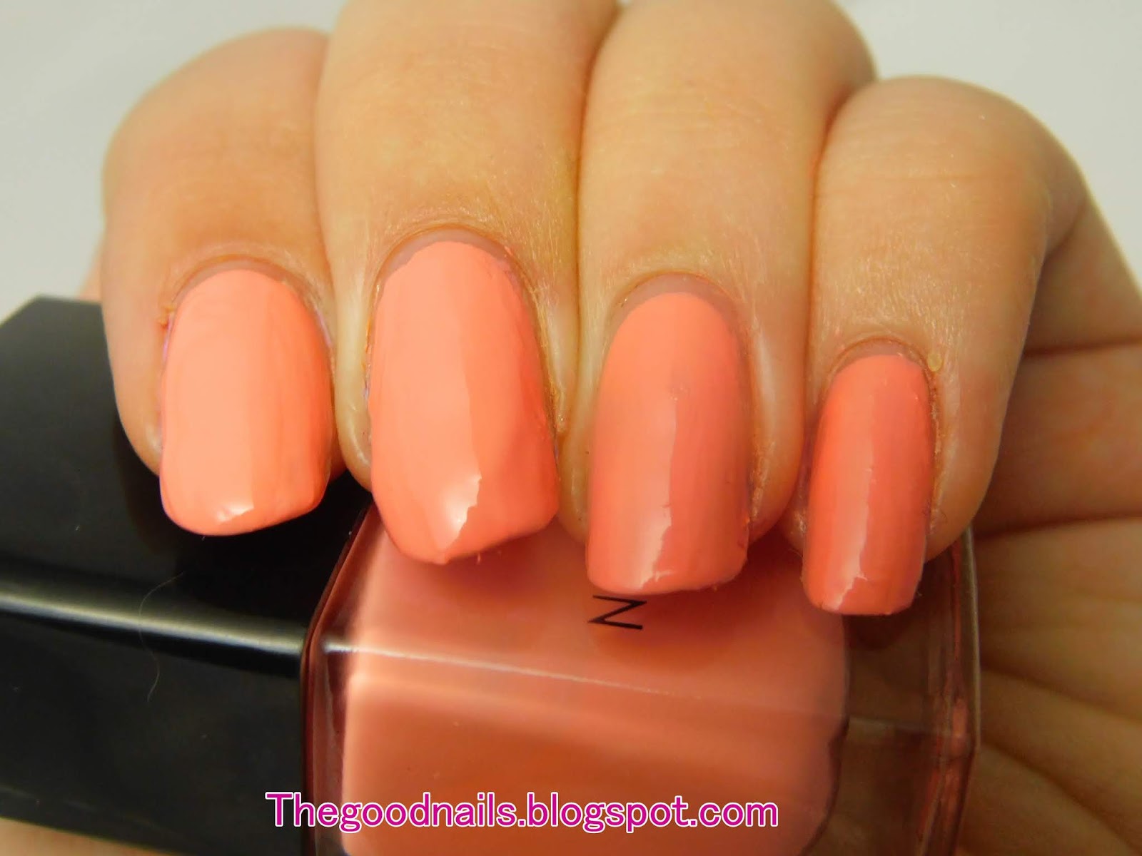 David Jones Nail Polishes Swatch and Review (Boxing Day Haul part 2)