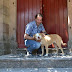 [Ελλάδα]Γιατί έχουν μείνει μόνο 2 σκυλιά στη Βρίσα της Λέσβού; Αυτός είναι ο λόγος...