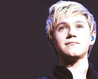 Chatter Busy: Niall Horan Quotes