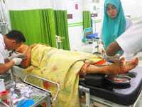 br Hutagalung Duel dengan Babi Hutan Demi Selamatkan Borunya br Hutagalung Duel dengan Babi Hutan Demi Selamatkan Borunya