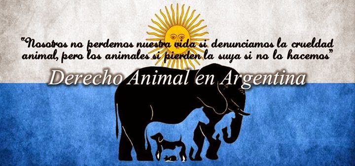 derecho animal en argentina