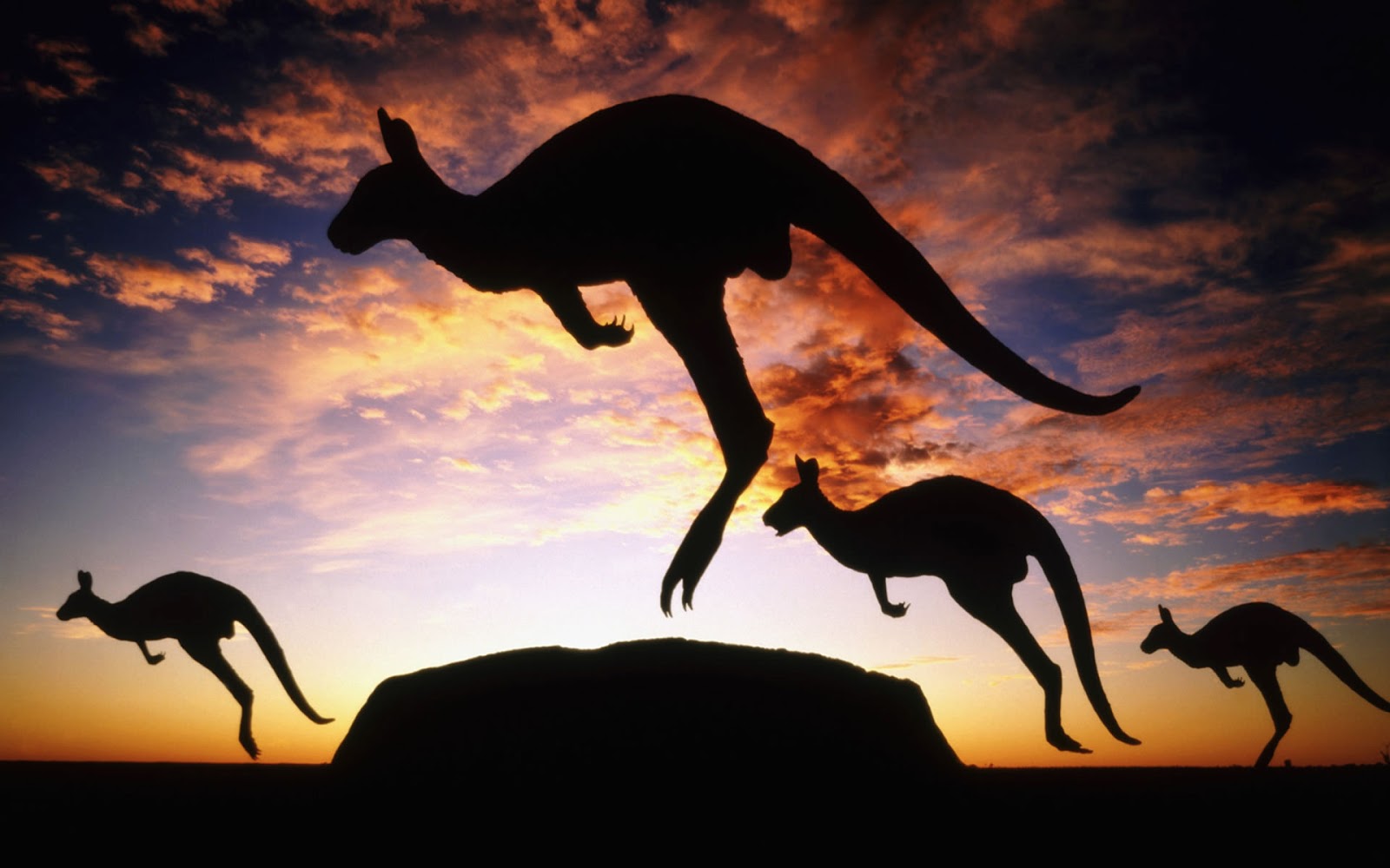 Optimization technique A kangaroo analogy Process Control for Dummies