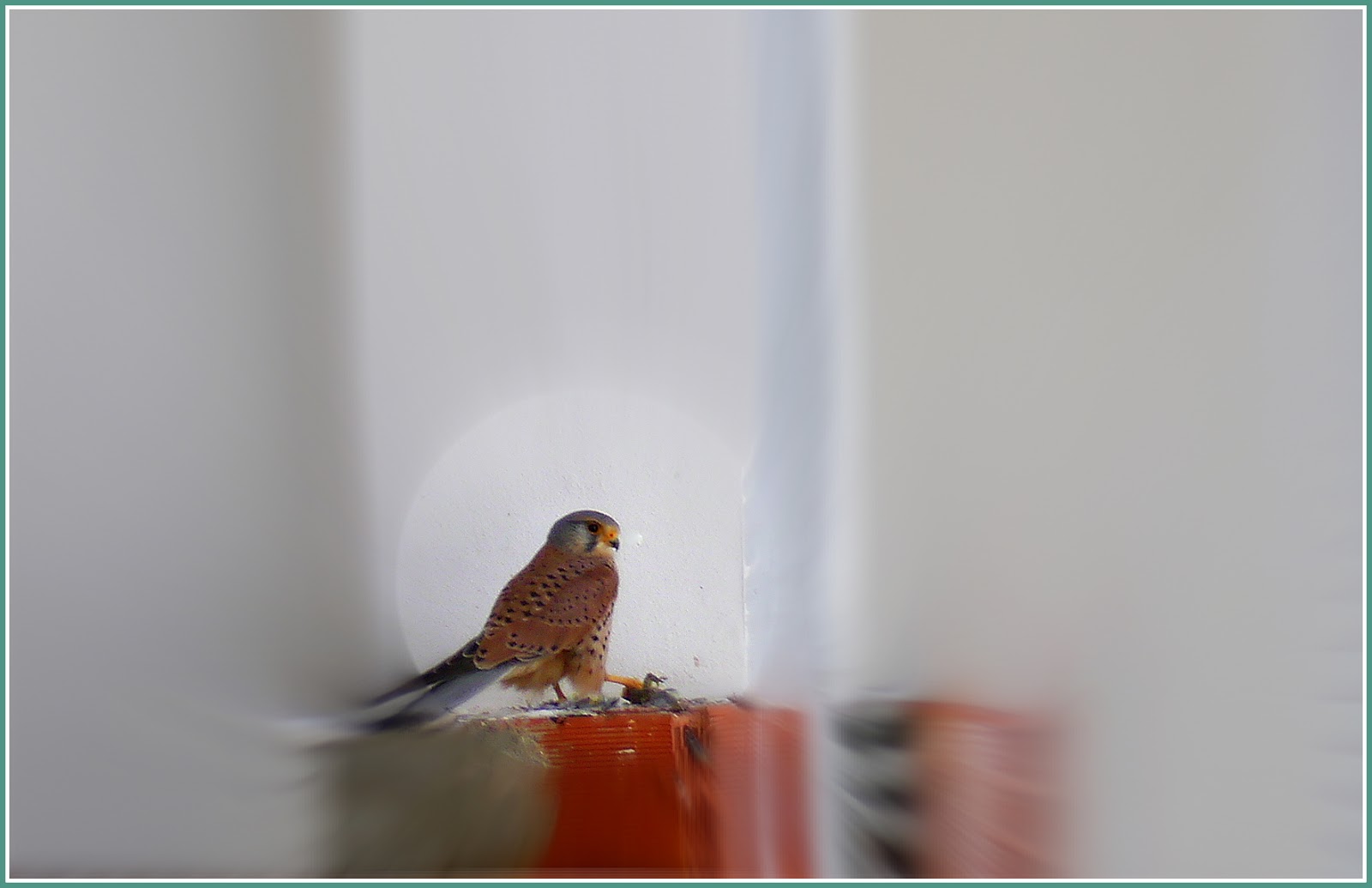 Anaali syyliä ilman anaaliseksiä