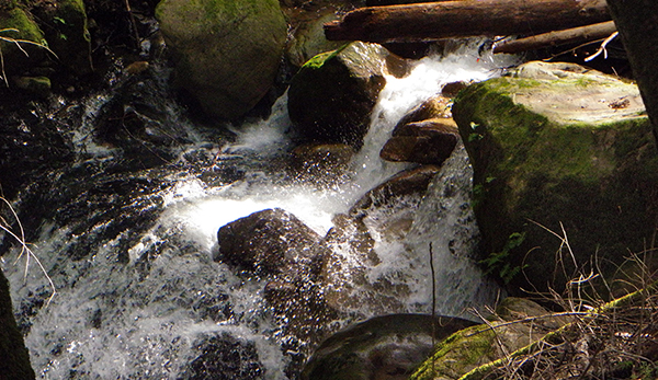 Water splashing off rocks and foaming through stream bed