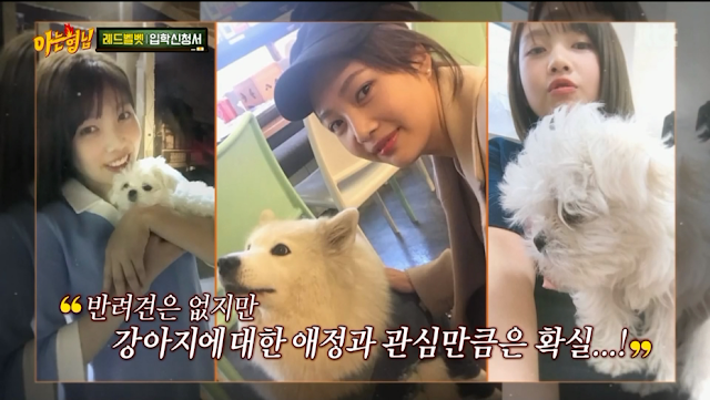 강아지 키우는거에 대한 조이의 마음가짐.jpgif | 인스티즈