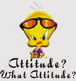 Get the right attitude