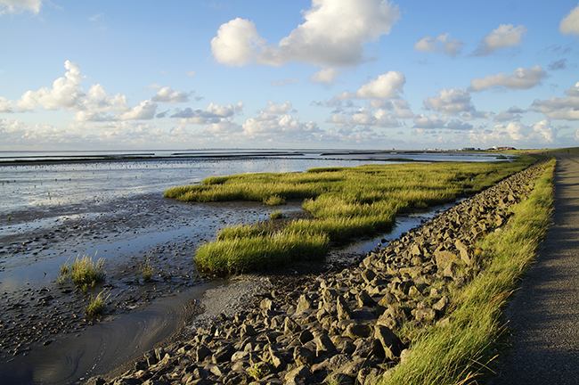 Norddeich. Norddeich.