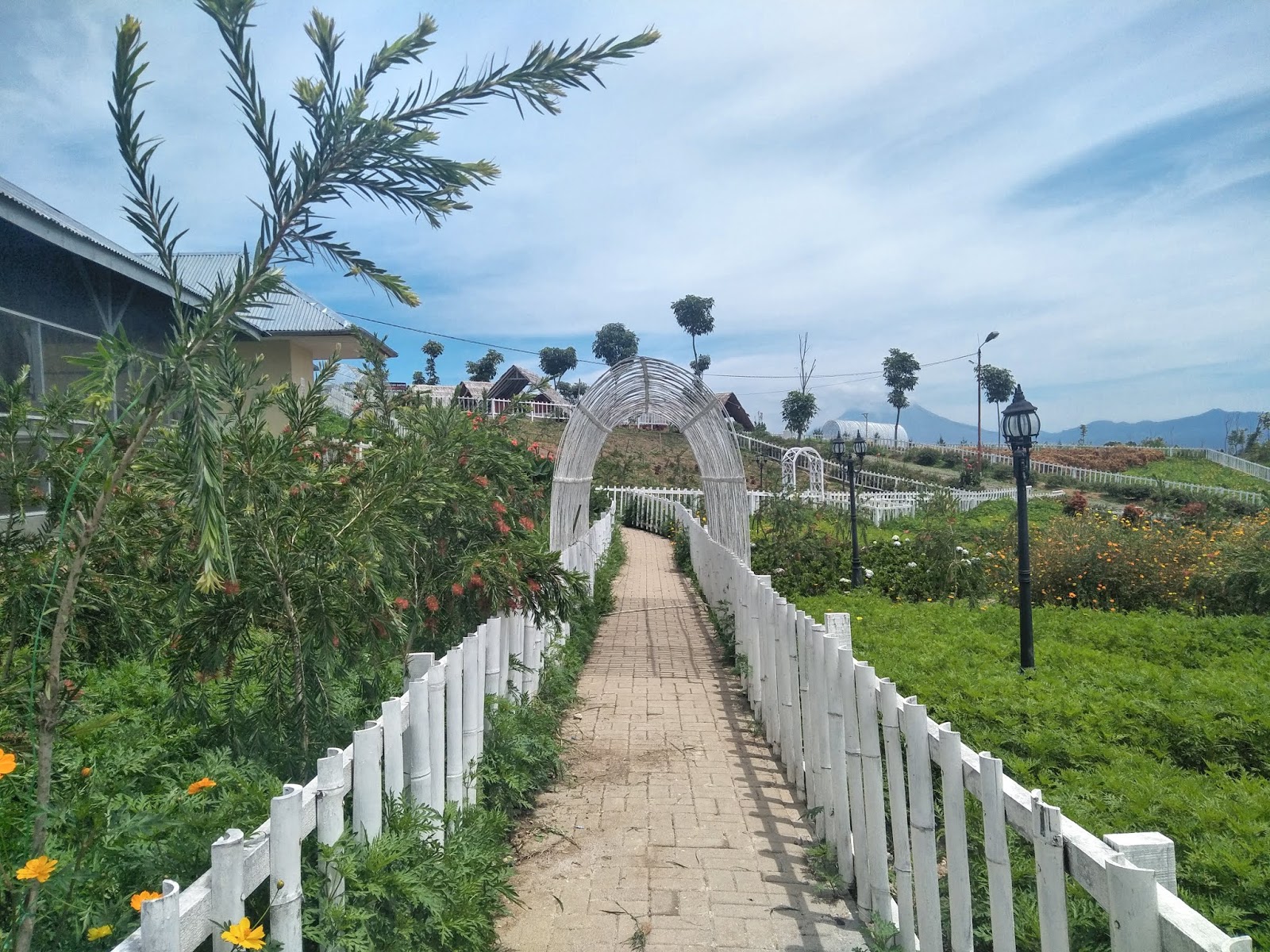 Seharian Jalan-Jalan Bersama (Kebun Madu Efi Kabanjahe -> Berastagi)” />
    </p><div class='code-block code-block-2' style='margin: 8px auto; text-align: center; display: block; clear: both;'>
<!-- header -->
<ins class=