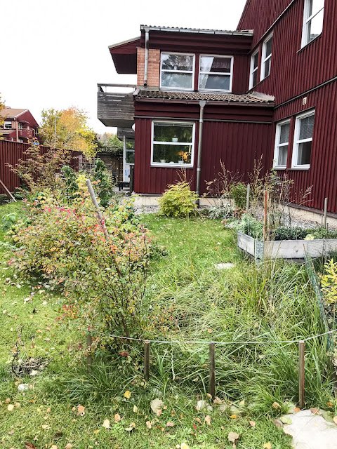 trädgården trädgården