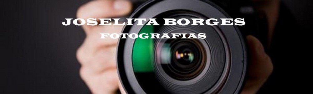 JOSELITA BORGES FOTOGRAFIAS