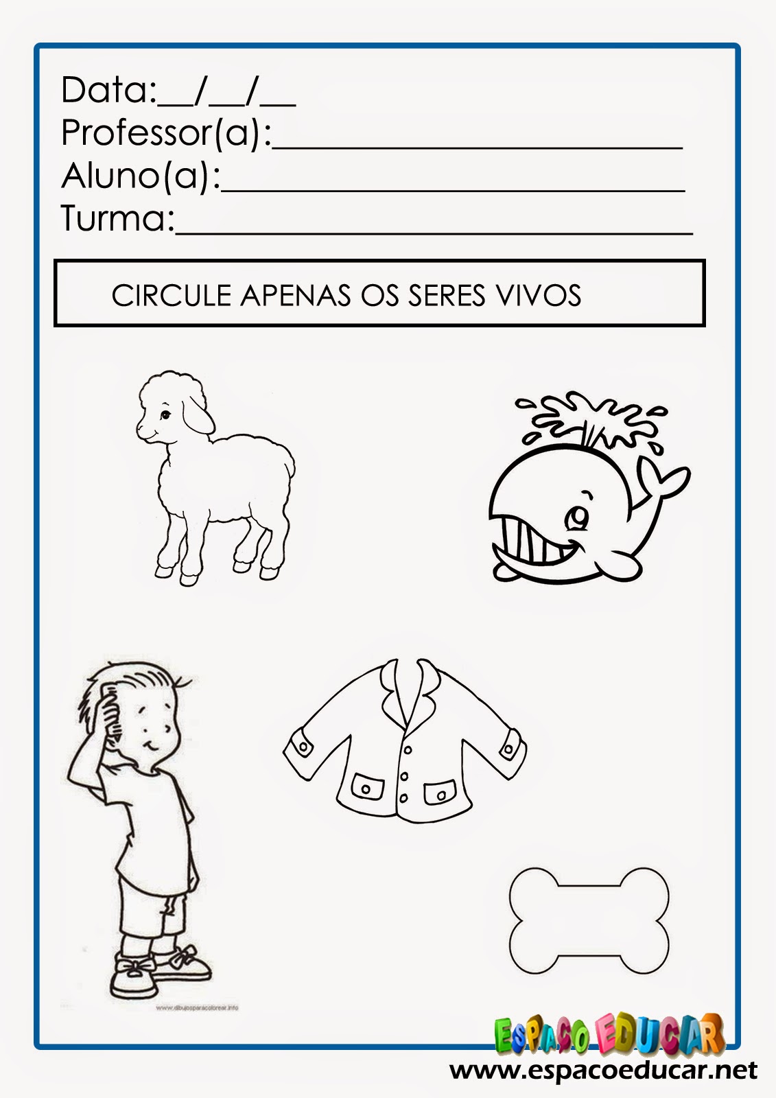 Atividade Seres Vivos E Não Vivos 1 Ano Plano de aula e Atividades sobre seres vivos e não vivos para imprimir