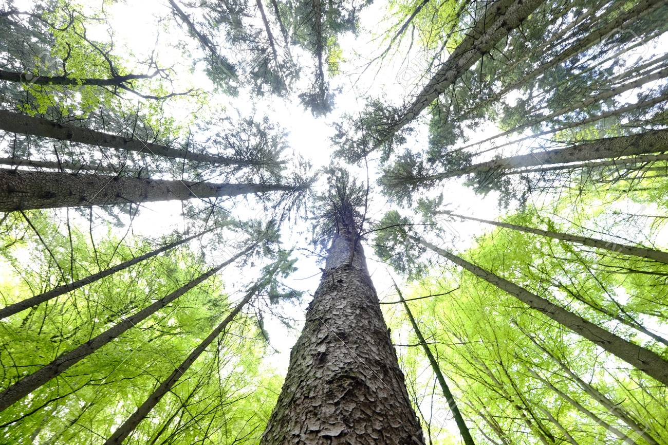 Macam - macam Sudut Pengambilan Gambar dalam Fotografi | Blog Banten Kamera