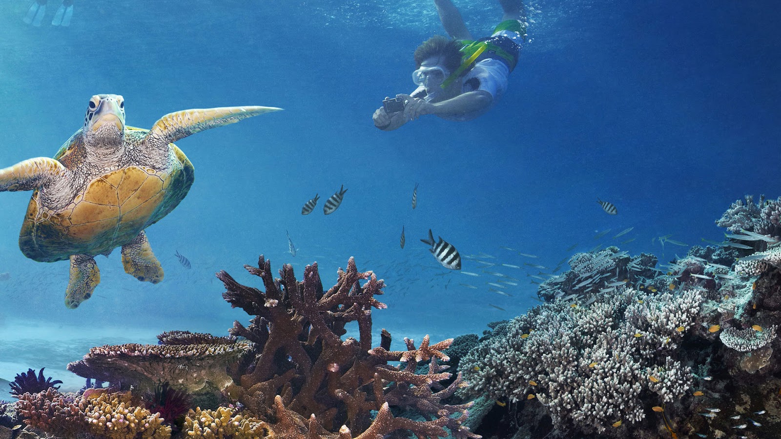 Great Barrier Reef, Austrialia ~ Luxury Places