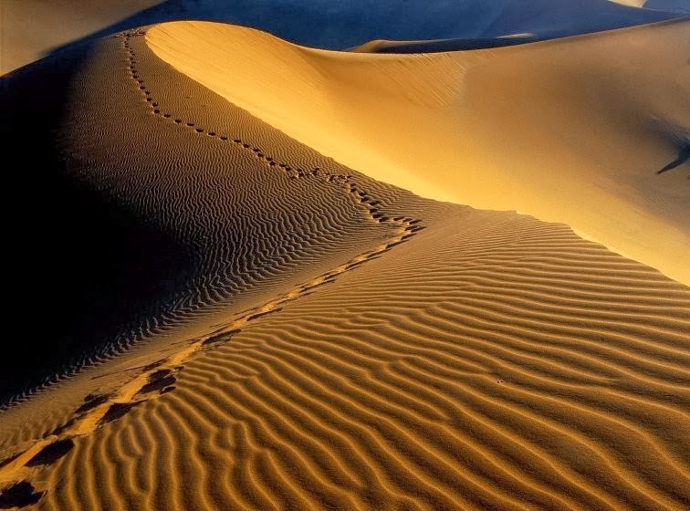 Kapan nabi musa lahir SC Al-'Aafiyah FKM UNHAS: Kapan Tanggal Lahir Nabi Muhammad?