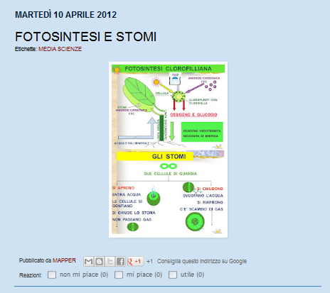 fotosintesi ed equazione della respirazione