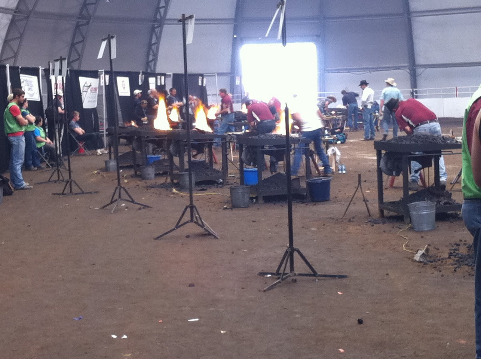 Absolutely Agriculture Calgary Stampede Agriculture, Day One