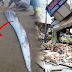This Could Be "The Big One"; Can Oarfish Really Predict An Earthquake