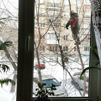 Mann auf Baum vor Fenster im Winter - Seltsame Menschen Mann auf Baum vor Fenster im Winter - Seltsame Menschen