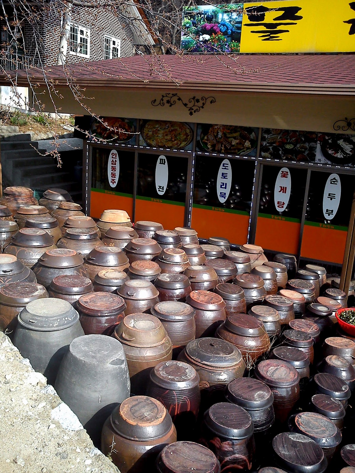 { Food for thoughts } Kimchi