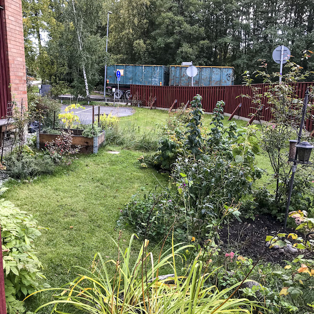 trädgård trädgård