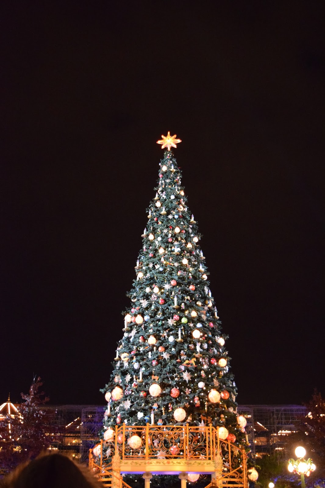 Hearts & Wings by Shireece: Les sapins de Noël de Disneyland