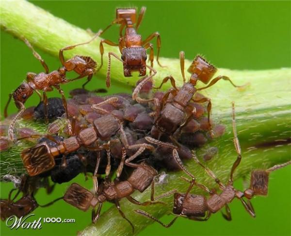 cubic photo manipulation