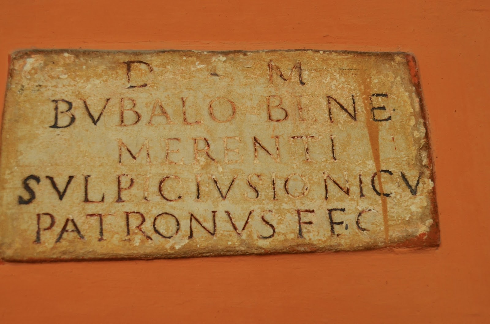 Cold Pasta & Red Wine Graffiti, Ancient Roman & GreekStyle