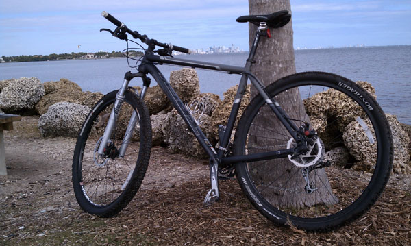 trek paragon 29er