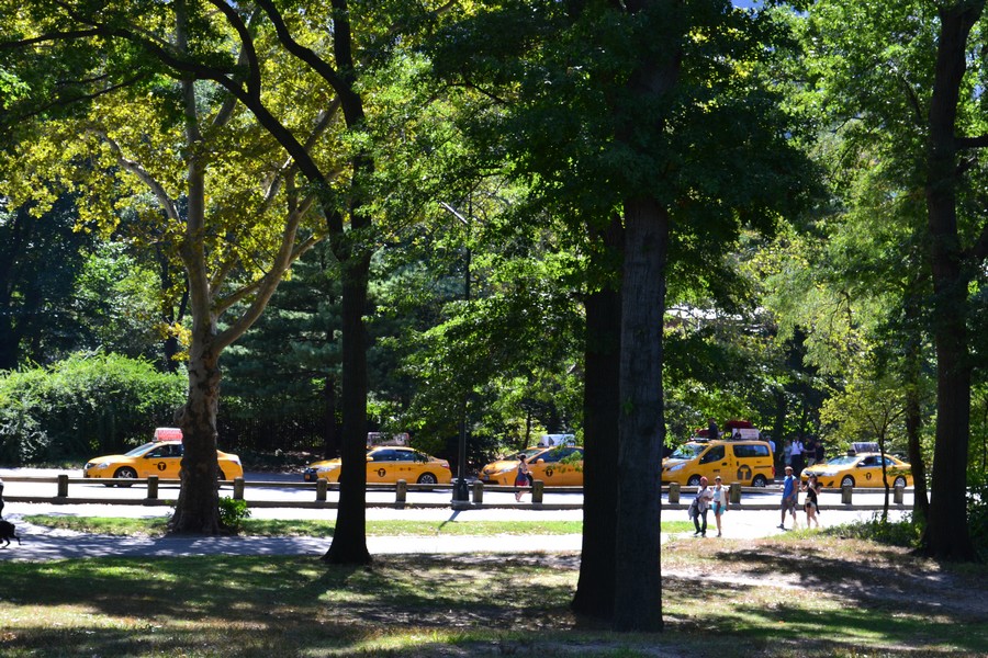CENTRALPARK CENTRALPARK