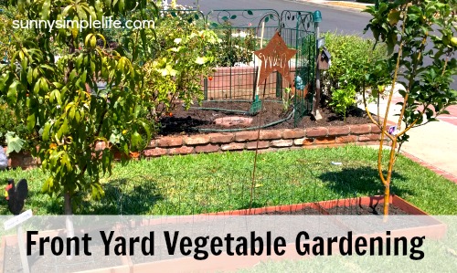 Front Yard Vegetable Garden Update, Front Yard Vegetable Garden Ideas