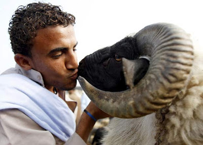 Dar um beijo de amor a esse animal