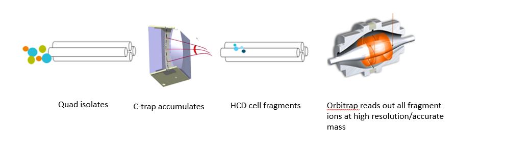 News in Proteomics Research: Is the Q Exactive HF less sensitive than