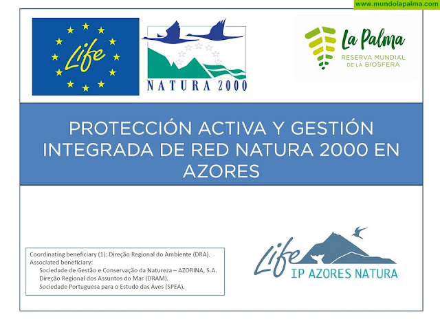 Reunión del Comité de personas expertas, creado en el marco del proyecto LIFE 2017 IPE/PT/000010 «Protección Activa y Gestión Integrada en Red Natura 2000»