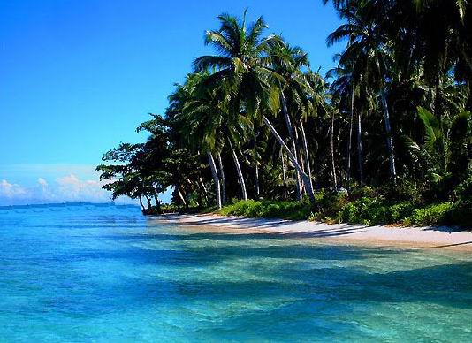 great national park Siberut National Park