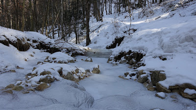 Gefrorener Bach im Schofgraben Gefrorener Bach im Schofgraben
